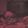 Cum Shot of Demon Cock