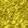 The Gold Record