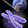 X Chromosome
