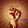 Rise and Fall - Single