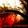Sanguine Symphony
