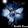 The Light Single