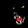 Dark Days