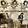 The Japanese Euphemism Song [Maxi-Single]