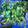 Octopus Moon [Maxi-Single]