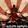 Kamikaze Terrorizer