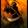 Eclipse of death