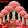 Detritivore