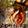 Ropeburn (single)