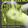 Every Day, Every Hour/Julie Amazonia single